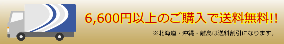 6600円以上で送料無料!!